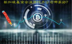 新加坡基金會注冊代辦公司哪家好？