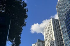 高才申請的機會，真的就僅僅只有一次嗎?
