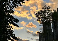 2025上半年,中國企業出海刷新全球副本:更猛、更強、更聰明